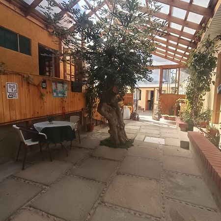 Hostal Julia El Quisco Exterior foto